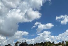 Fellito Suberví inspecciona trabajos en cañadas Guajimía y Los Girasoles